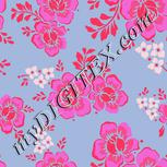 Colour:B
