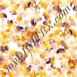 Colour:J