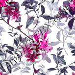 Colour:B