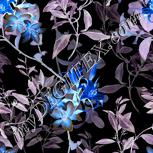 Colour:F