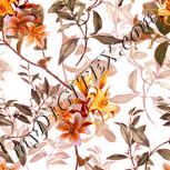 Colour:J