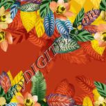 Colour:A