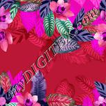 Colour:B