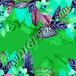 Colour:C
