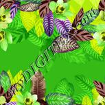 Colour:D