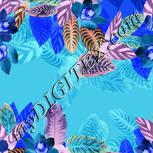 Colour:F