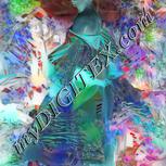 Colour:F