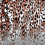 Colour:A