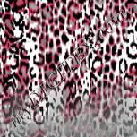 Colour:B