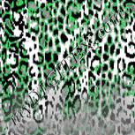 Colour:C