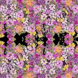 Colour:A