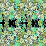 Colour:C
