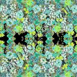 Colour:D