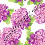 Colour:A