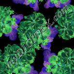 Colour:F