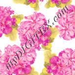 Colour:J