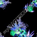 Colour:F