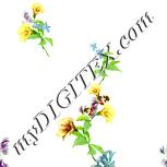 Colour:K