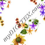 Colour:A