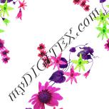 Colour:B