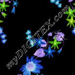 Colour:F