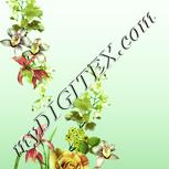 Colour:K