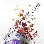 Colour:A