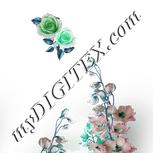 Colour:C
