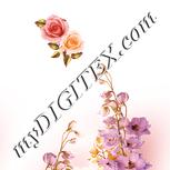 Colour:J