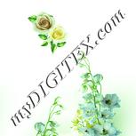 Colour:K