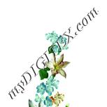 Colour:K