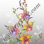 Colour:A