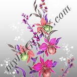 Colour:B