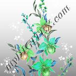 Colour:C