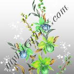 Colour:D