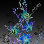 Colour:F