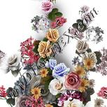 Colour:A