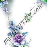 Colour:C