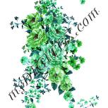 Colour:C