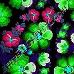 Colour:C