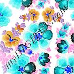 Colour:F