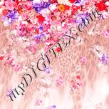 Colour:J