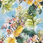 Colour:A
