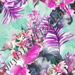 Colour:B