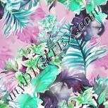 Colour:C