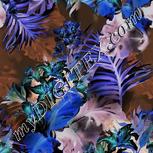 Colour:F