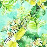 Colour:K