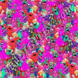 Colour:B