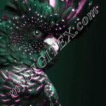 Colour:B
