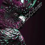 Colour:C